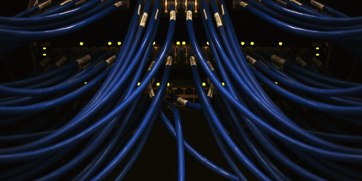 Labeled blue patch cables connected to network switches in a rack